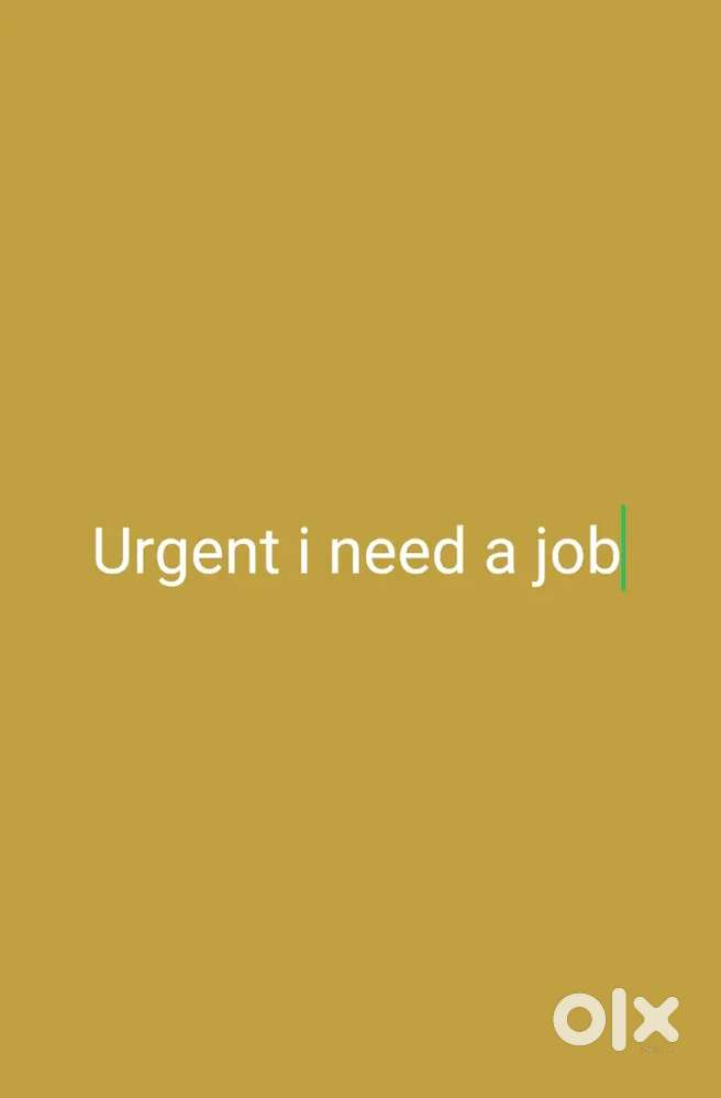 I need a job