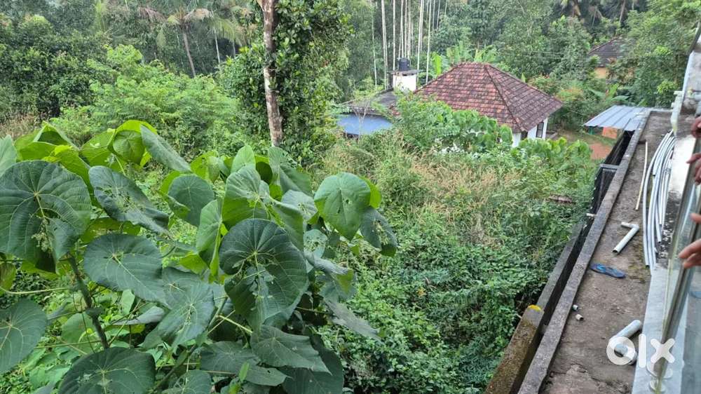 Pallikunu, Near woman's college