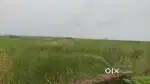 Investment plot