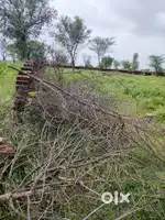 Farm house