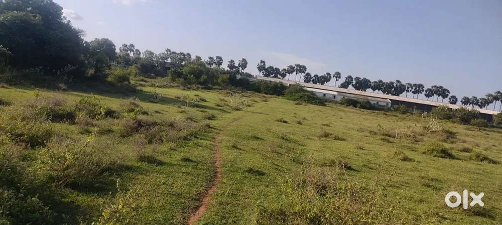 Land for sale
