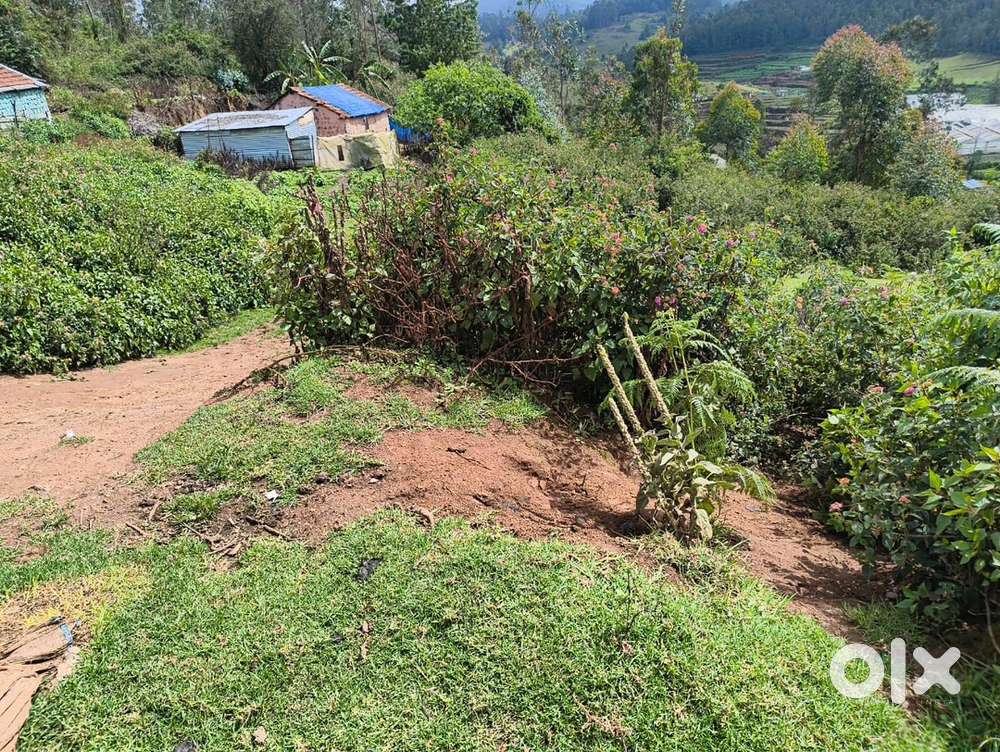 Vacant land for rent