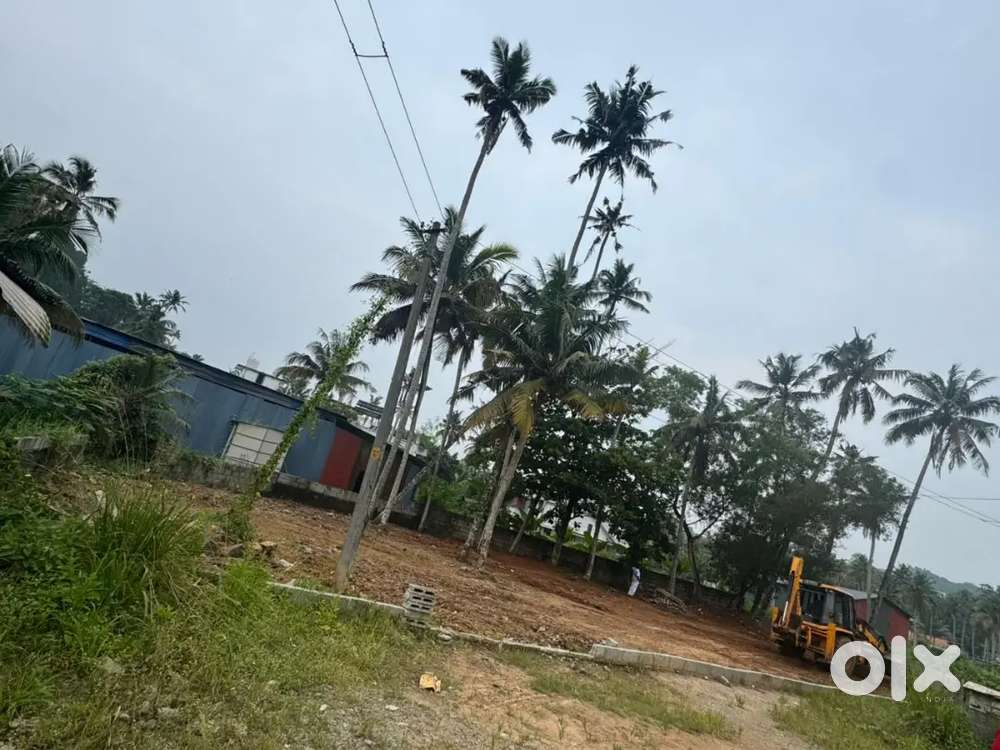 3 PLOTS AVAILABLE NEAR ULLOOR TO PRASANTH NAGAR ROAD 16LAKHS/CENT