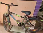 5 month old Cycle for sale