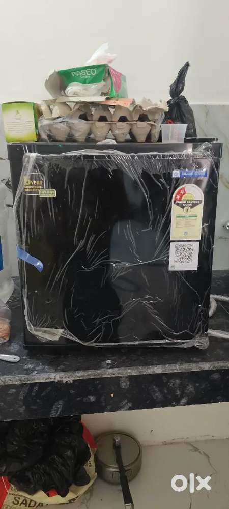 Blue Star mini Fridge