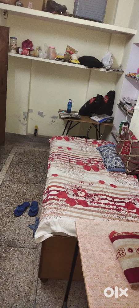 Need one girl roommate only student