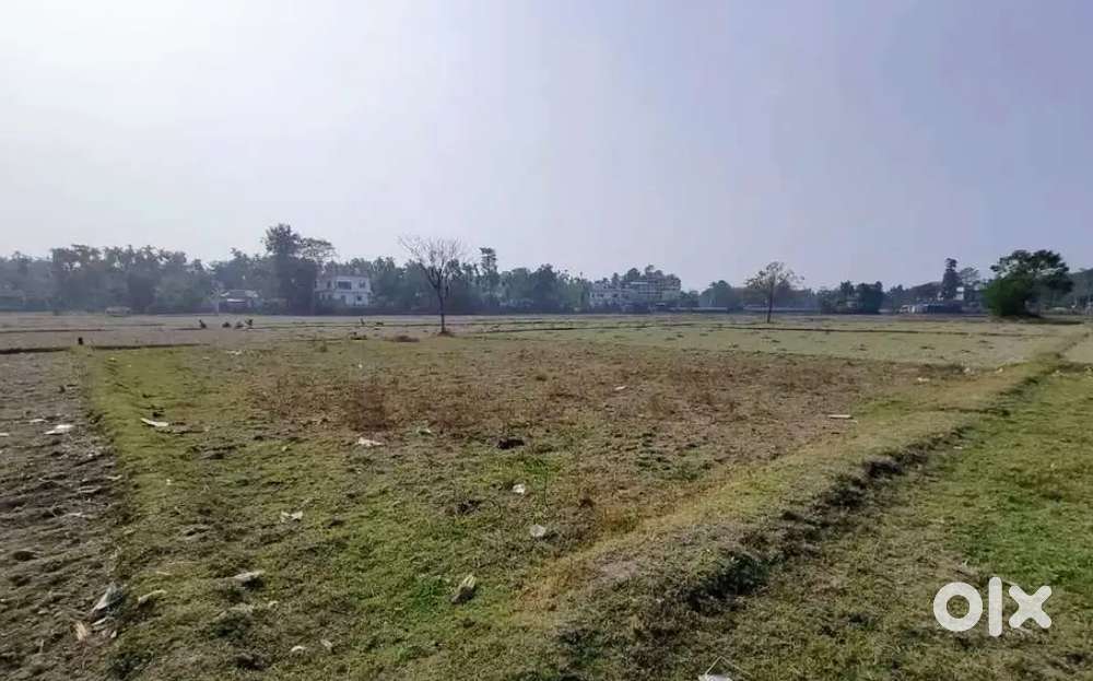 বাড়ি করার উপযুক্ত জমি ৩ কাঠা