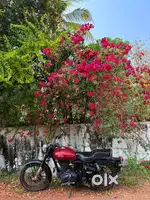 Bullet standard electra 350