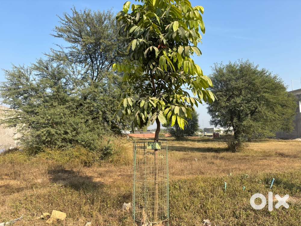 300 Sq Yard Plot in Eco City 2