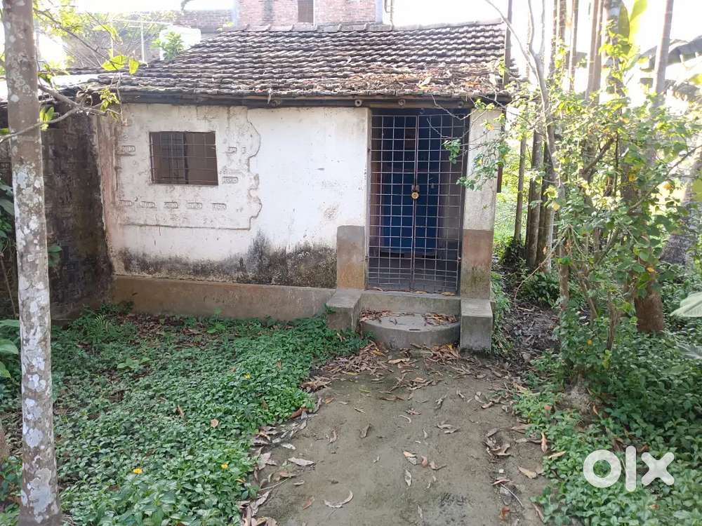 2 কাটা বাড়ি সমেত জমি বিক্রি আছে