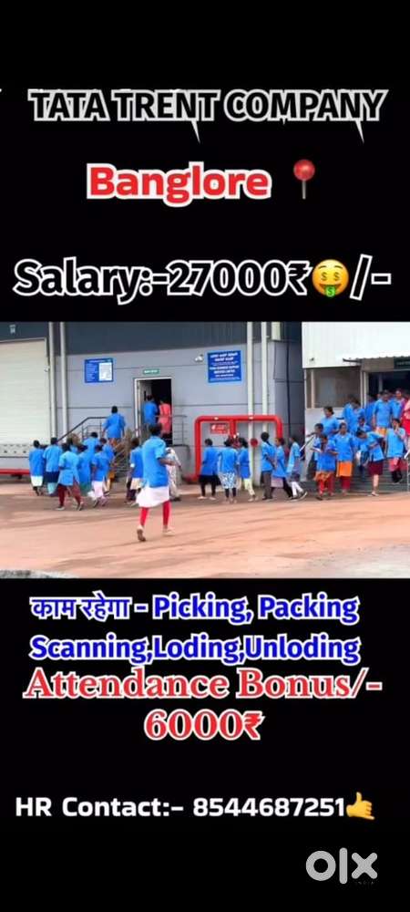 Meesho’ company job