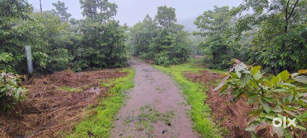 Road Touch Agriculture Land Sale in Mangaon Raigad
