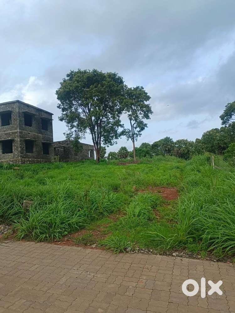 9 Cent House plot for Sale in Elappully, Palakkad