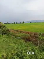 2 ACRE LAND FOR SALE IN ASHAPURI NEAR BHOJPUR MANDIR
