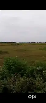 4 एकड़ जमीन । सेमरिया से प्रयागराज रोड पे जमीन उपलब्ध है ।