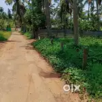 5 cent square plot..800m from NH 66..               2.75 lakh per cent