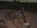 STUNT cycle
