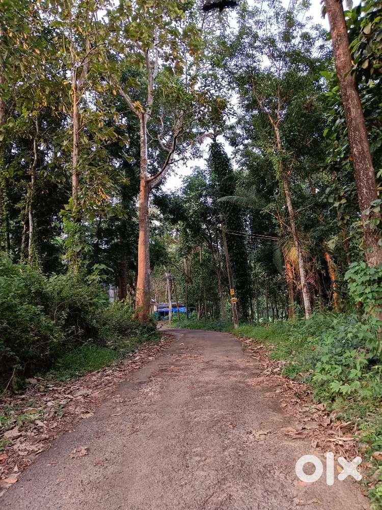 Residential plot - for sale