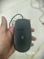 DELL Optical Wired Mouse in awesome condition available for sale