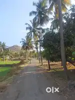 Sale of Land in Karipatti (1.5 km from Chennai NH)