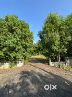 650 yd. Plot for sell at New Science city.