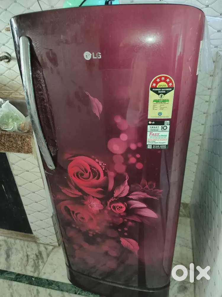 Good running freeze 2024 model