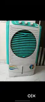 Cooler 1 year old