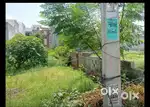 Friends Avenue