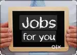 No boss, no office, but unlimited salary