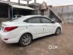 Good canisan