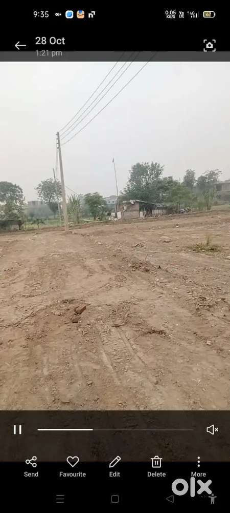 Alfla university ke pass hai