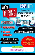 Sales Executive