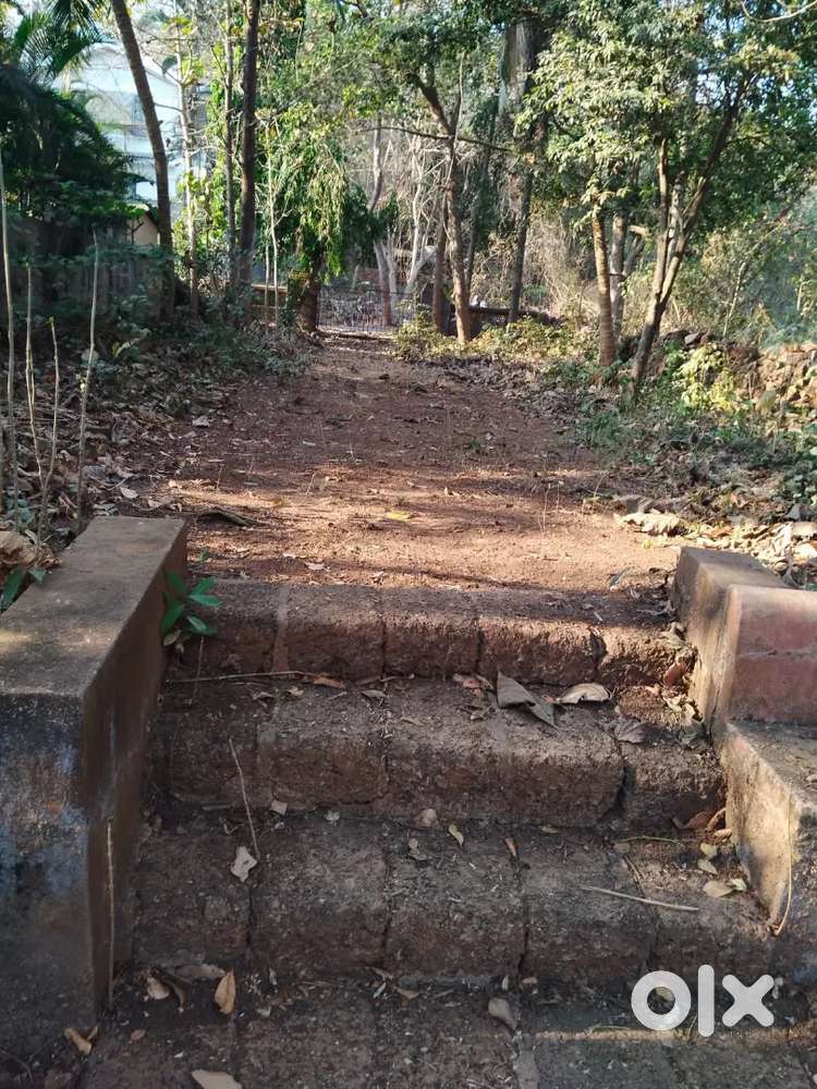 Land for Sale, Assagao