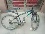 Gradient company bicycle for adults