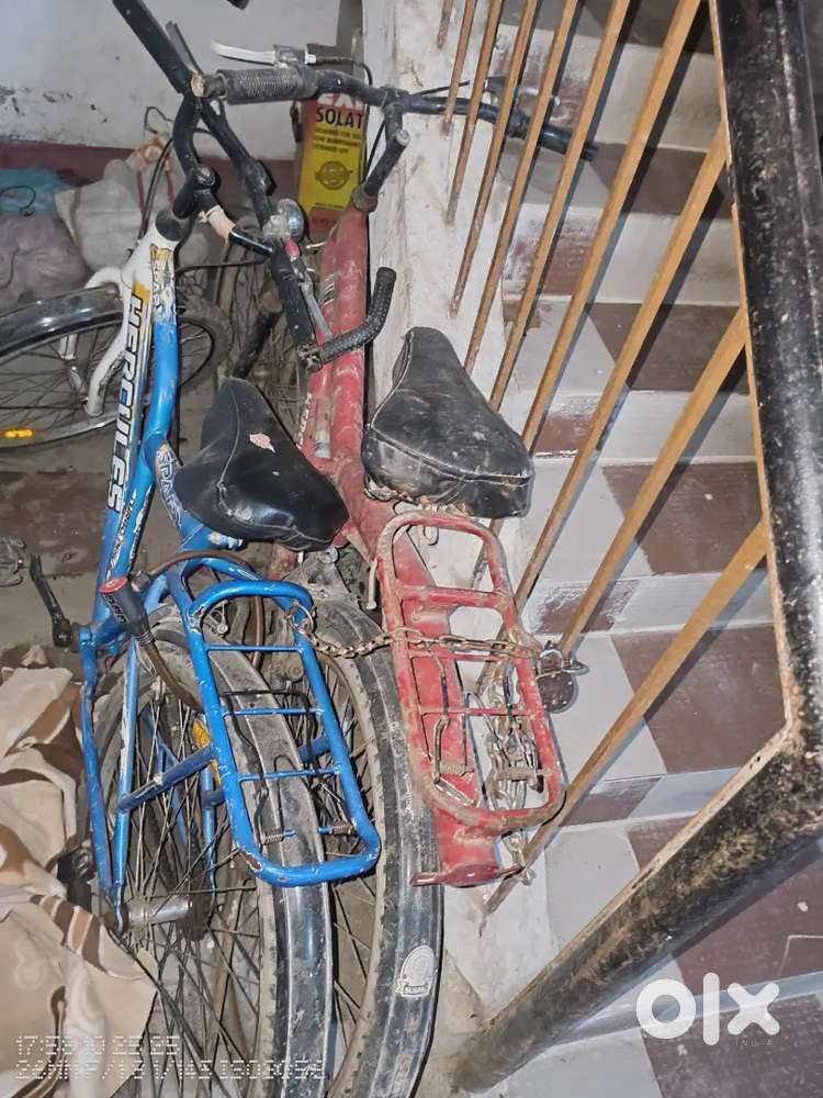 Cycle with suspension