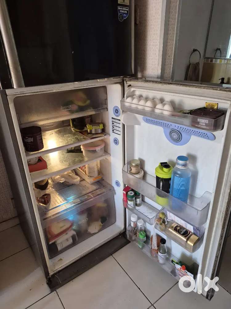 LG 2-Door 300L Fridge