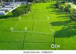 Secure Your Future  Amtala Nature’s Green City Residential Plots