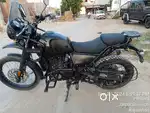 Brand new condition