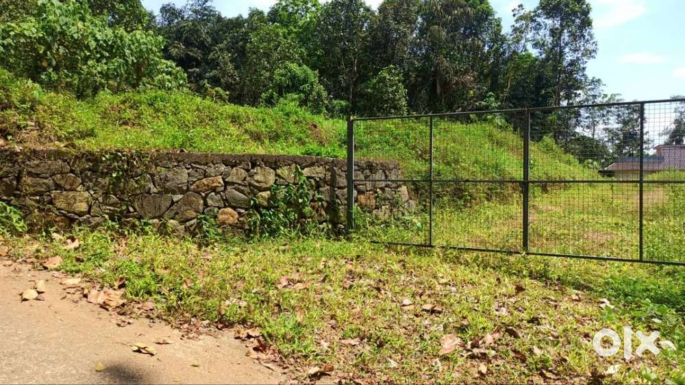 28 cents, 2 Plots, Near Pampady Town.