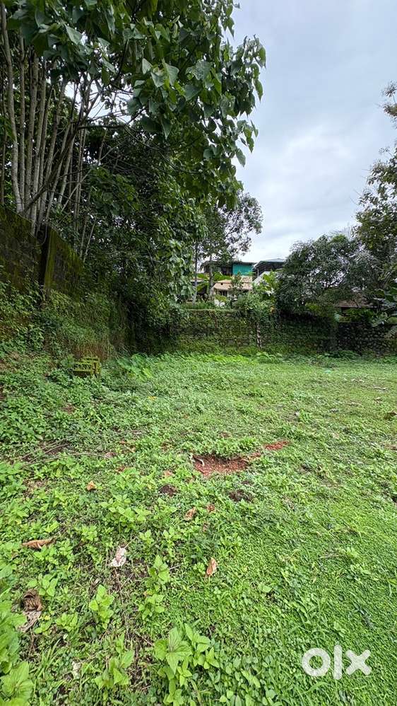 കൊടുങ്ങല്ലൂർ പുല്ലുറ്റിൽ സെന്റിന് 1.40 ലക്ഷം