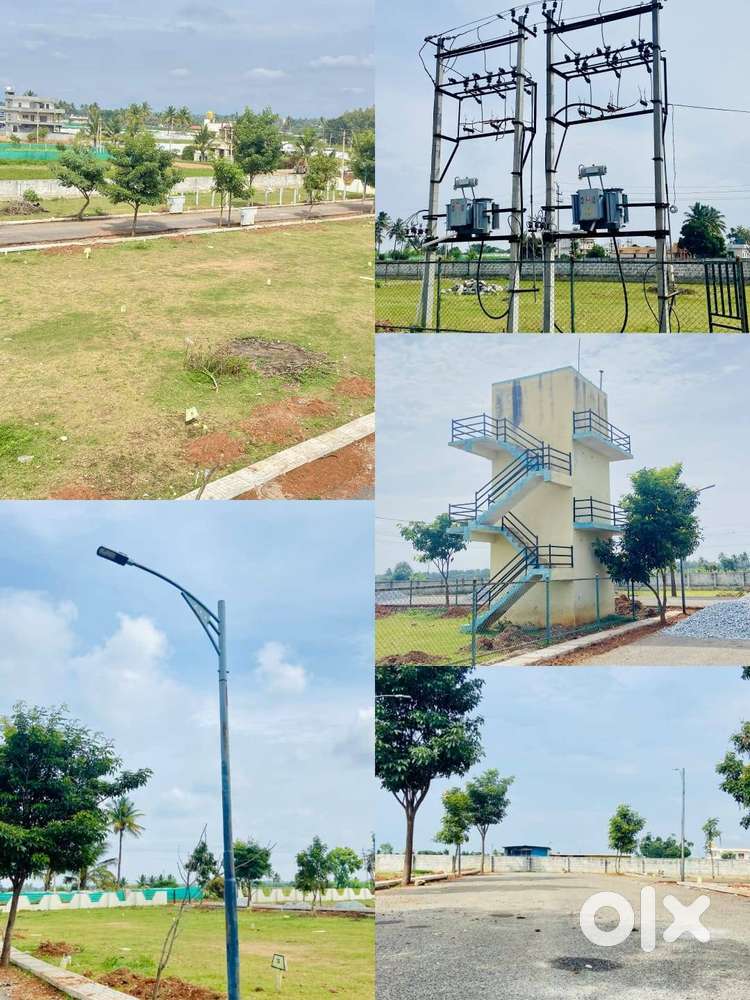 “BIAAPA-Approved Layout – Ready for IMMEDIATE REGISTRATION”