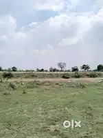 बिलासपुर अकलतरा नेशनल हाईवे NH 49 में 10 डिसमील ज़मीन बेचना है