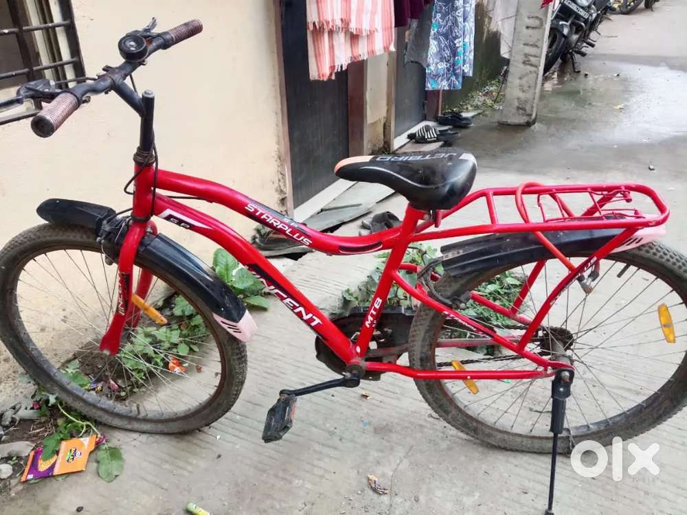 Cycle 2024 company of- vincent