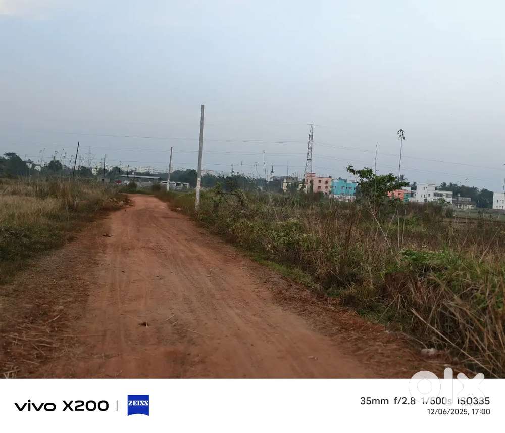 Allms hospital back side