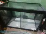 Contar hai bhai acha hai