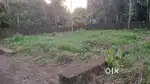 5.5 cent land or plot for sale in kanjoor Parappuram,airport,kalady