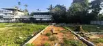 cherlapally edappally house plot for sale