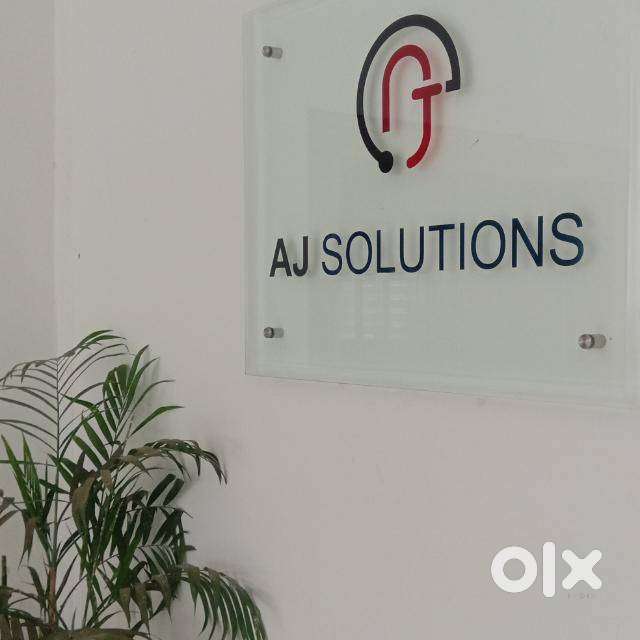 COLLECTION EXECUTIVE