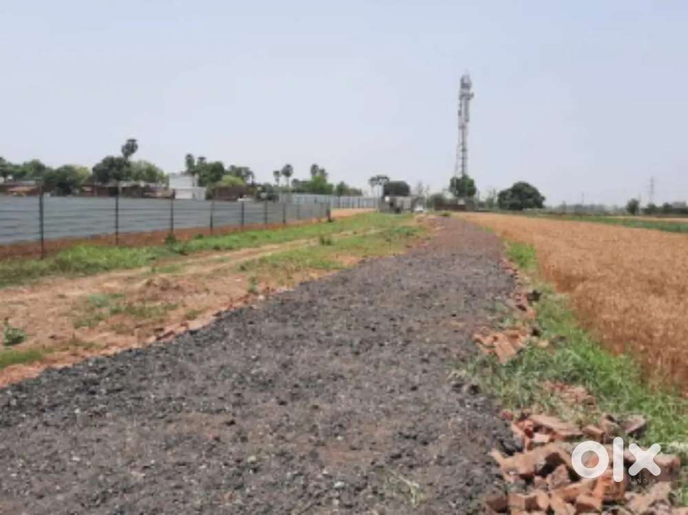 Residential plot
