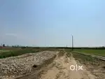 100 gaj plot